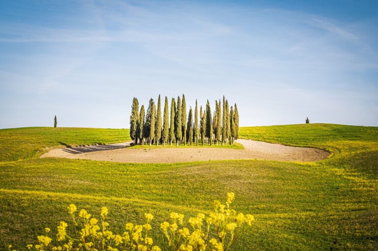 The Impact of Over-Tourism and How to Combat It