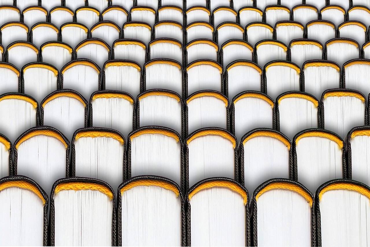 Understanding the Impact of Teacher-Student Relationships on Academic Outcomes