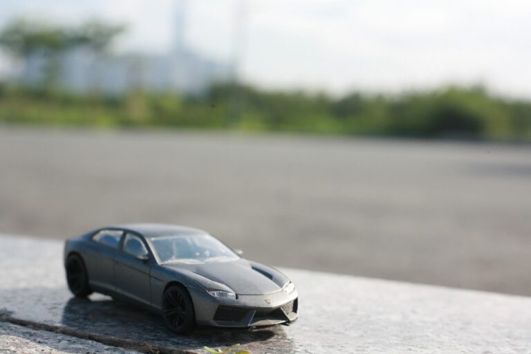 The Role of Governments in Promoting Sustainable Transportation