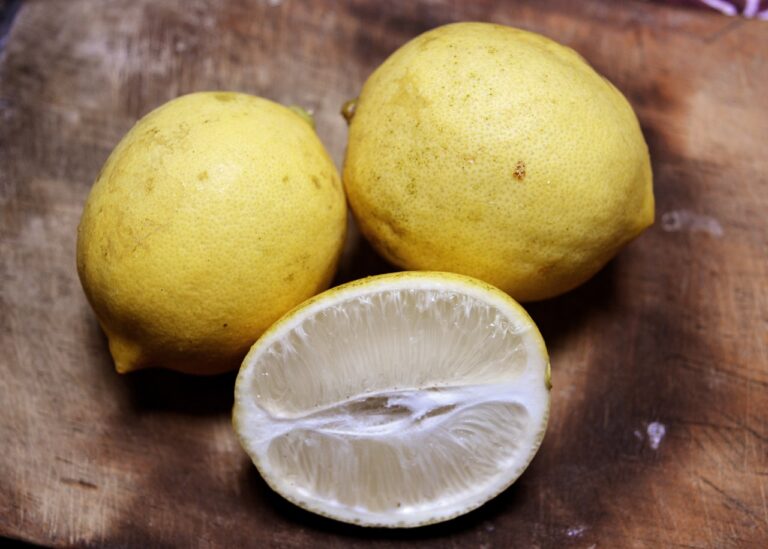 The Role of Technology in Elderly Care: Innovations in Aging-in-Place Solutions