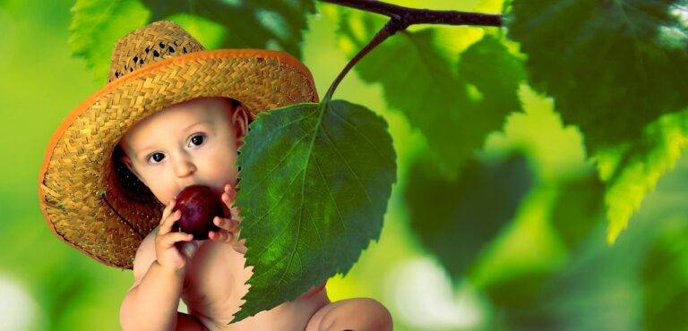 The Science of Flavor: Exploring Taste Perception