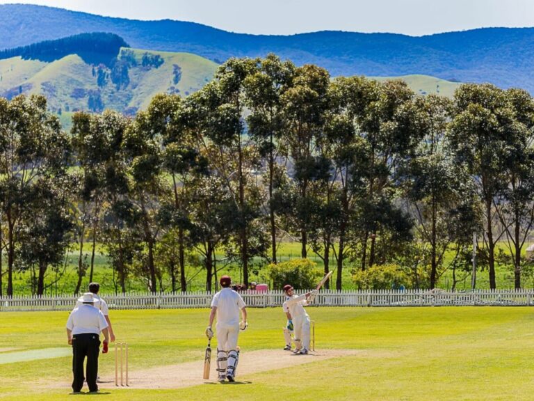 Mahadev Book Online: Online Cricket ID Solutions for Bettors